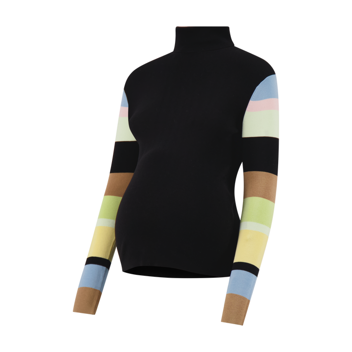 Turtleneck Sweater w Color Sleeve