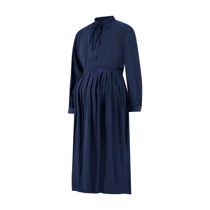 Hanna Pleated Dress