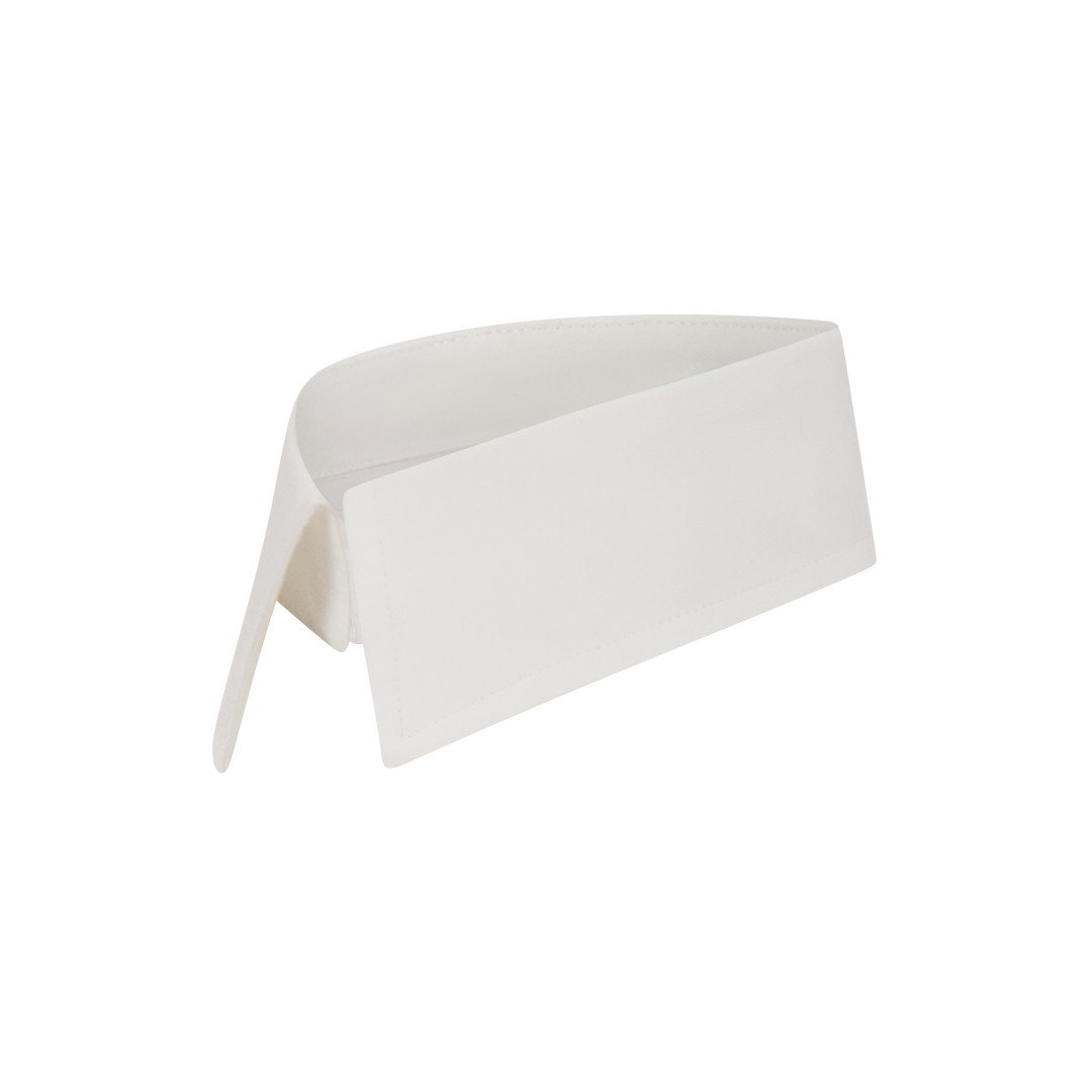 Collar Accessory