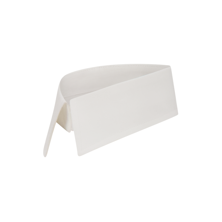 Collar Accessory